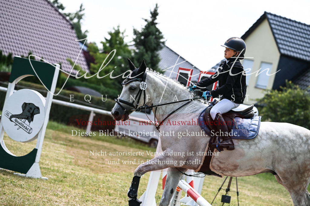 DSC_9815 | Pferde- und Turnierfotografie in Westsachsen. Pferdeportraits, Auftragszeichnungen und intuitive Kunst.