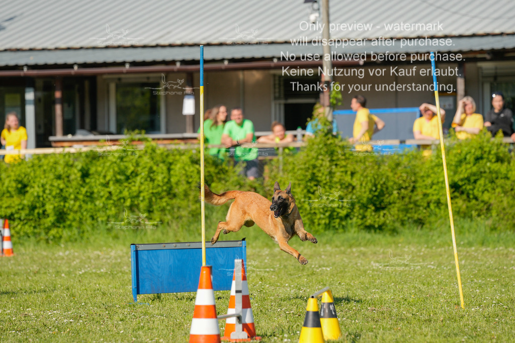 Sa_CSC-352 | stephaniefillaphotographie - Realisiert mit Pictrs.com