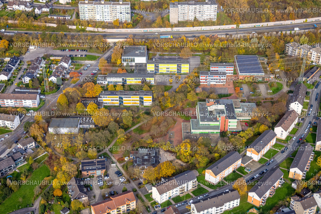 Hagen251101678 | Luftbild, Gymnasium und Realschule Hohenlimburg mit Sporthalle Wiesenstraße, herbstliche Bäume, Hohenlimburg, Hagen, Ruhrgebiet, Nordrhein-Westfalen, Deutschland