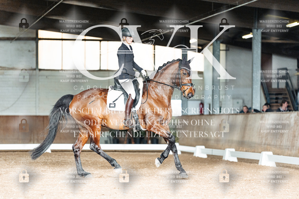 CK903094 | Turnierfotografie Pferdefotografie Trier Rheinland-Pfalz Pferdesport Reitsport Tierfotografie Sportfotografie Pferdevideo Pferdevideografie Equestrianvideography equestrianphotography  - Realisiert mit Pictrs.com