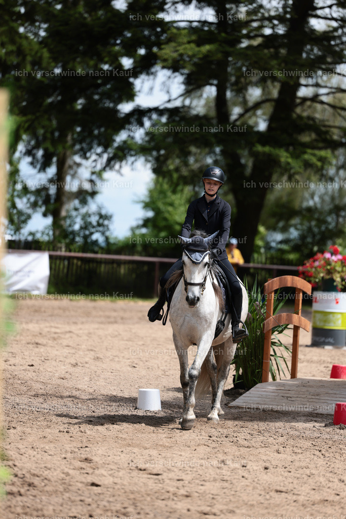 KlasseA_Stoibphotography_C2_L5725.JPG | working equitationturnier fotograf videograf stoibphotography marixx film working equitation deutschland reitsport turnierfotografie eventfotografie equestrian events