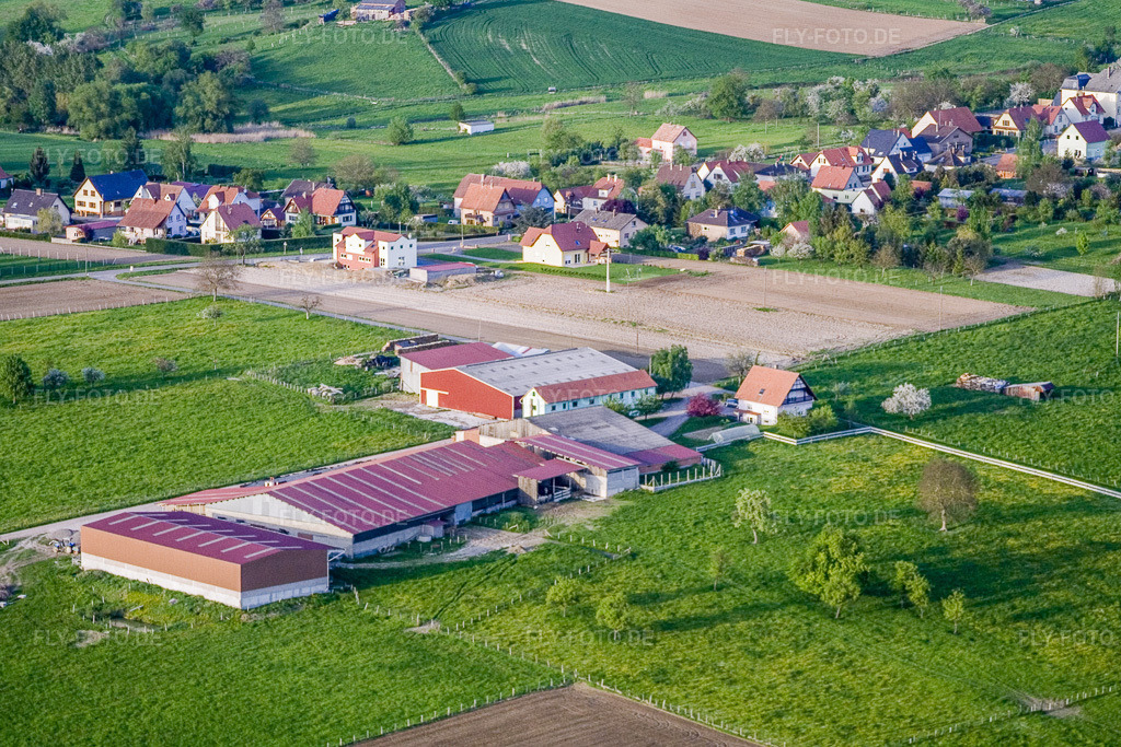 Luftbild: Ferme Scharrenberger in Surbourg im Bundesland Bas-Rhin in Frankreich. – Foto: IMG_10663.jpg vom 04.05.2008 durch Werner Riehm/FLY-FOTO.de – Auflösung des Originals: 3456 x 2304 px