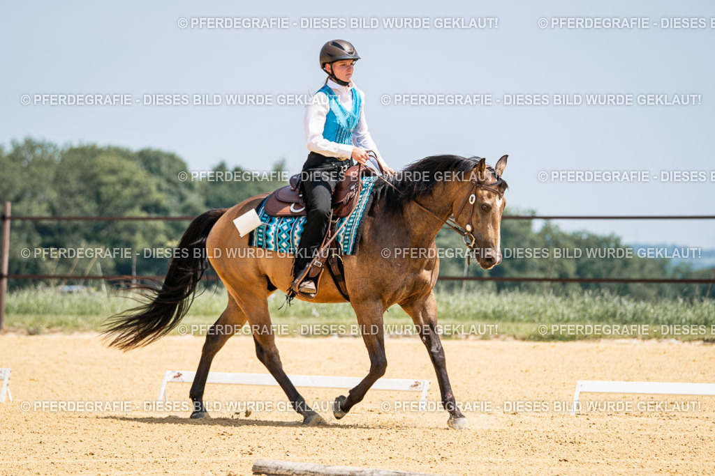 DSC01003 | Pferdegrafie