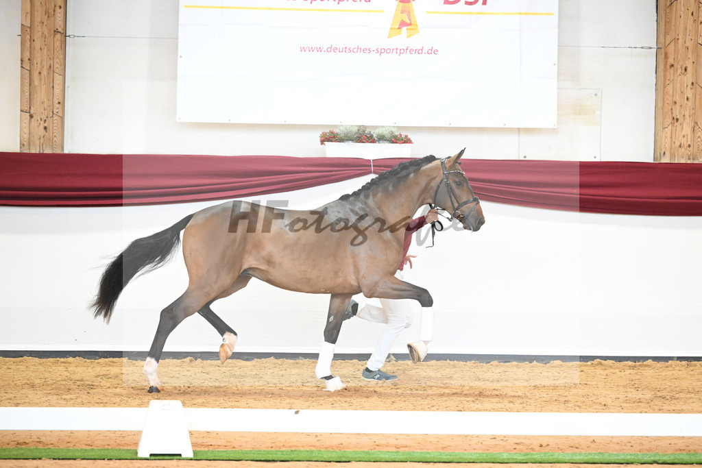 Kat-Nr. 3 v. Baron_Brors_66221559 | hf-fotografie - Realisiert mit Pictrs.com