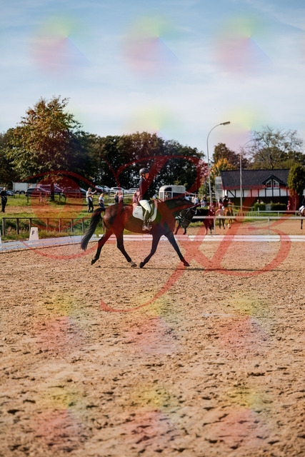 2026_10_03_Siefer-Hof_133509_Z63_94283652 | Professionelle Reitsport-, Turnier- und Eventfotografie von Robert Broda. Galerien mit ausgewählten und bearbeiteten Bildern direkt online ansehen und bestellen.