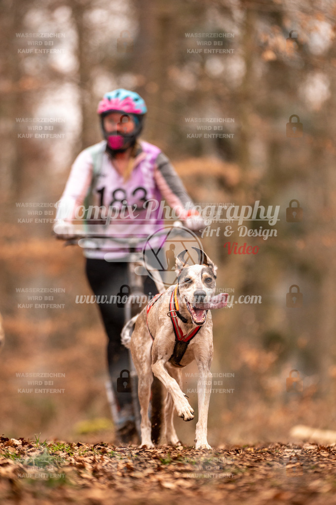 AKM_ST_2023_SAM_Scooter-60 | PayLife