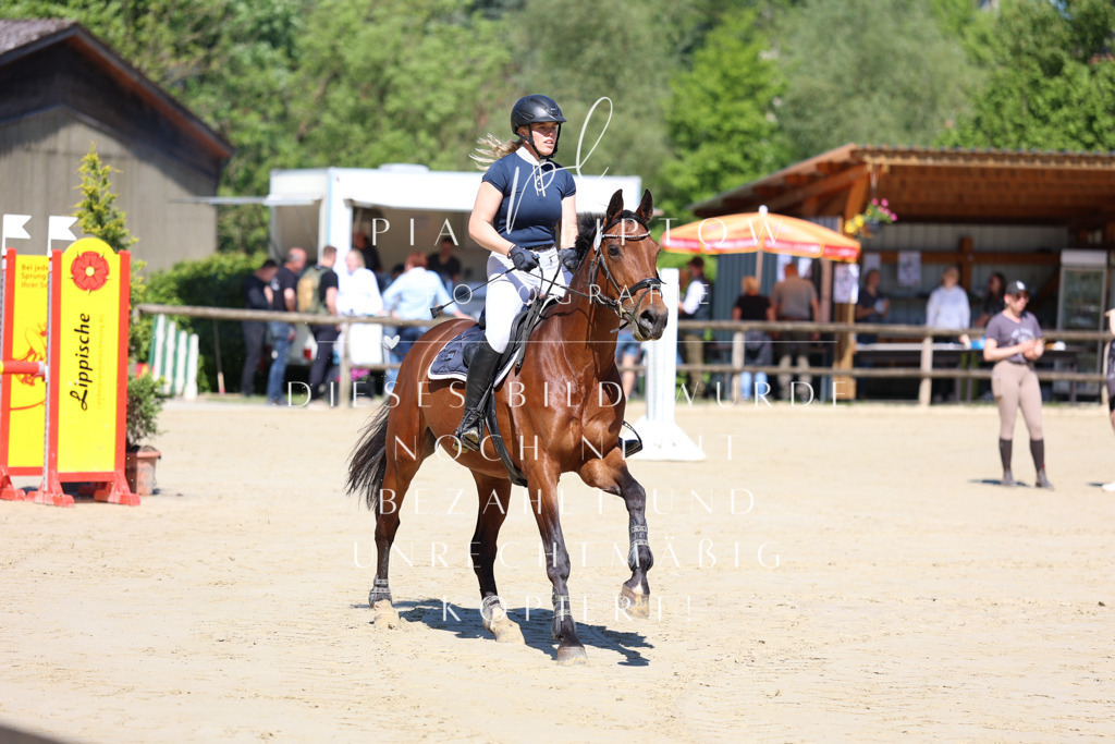 IMGS7099 | pl-fotografie