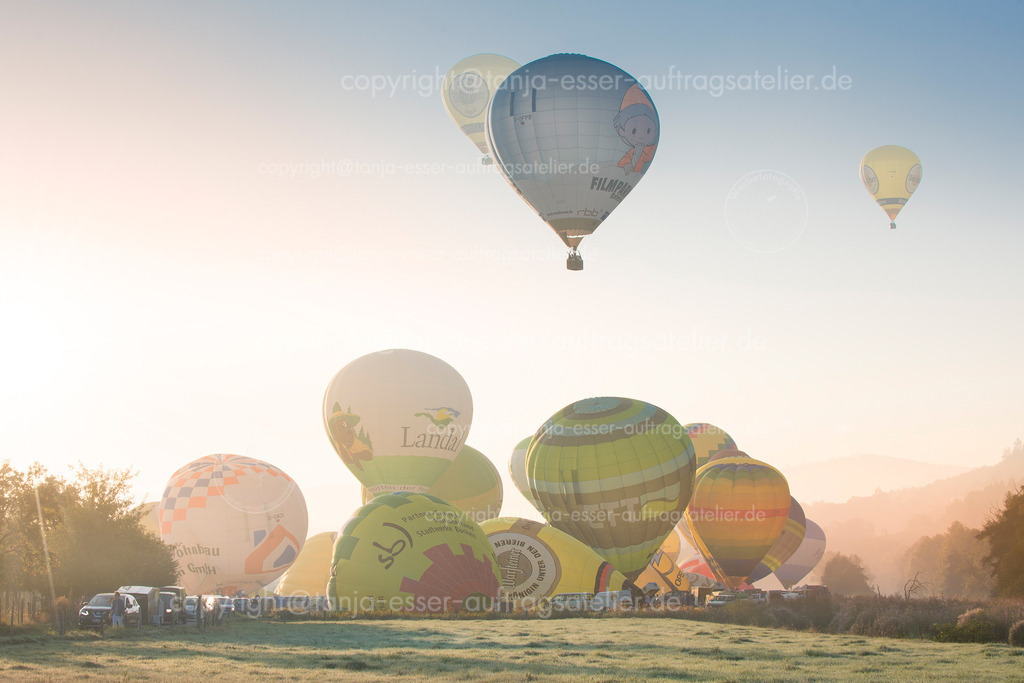 Start am Morgen der bunten Heißluftballons im Frühnebel | Ein Heißluftballon startet seinen Flug. Es ist früher Morgen, der Nebel liegt über der Natur. Mehrere Ballons stehen zum Start bereit während der Warsteiner Internationalen Montgolfiade. 