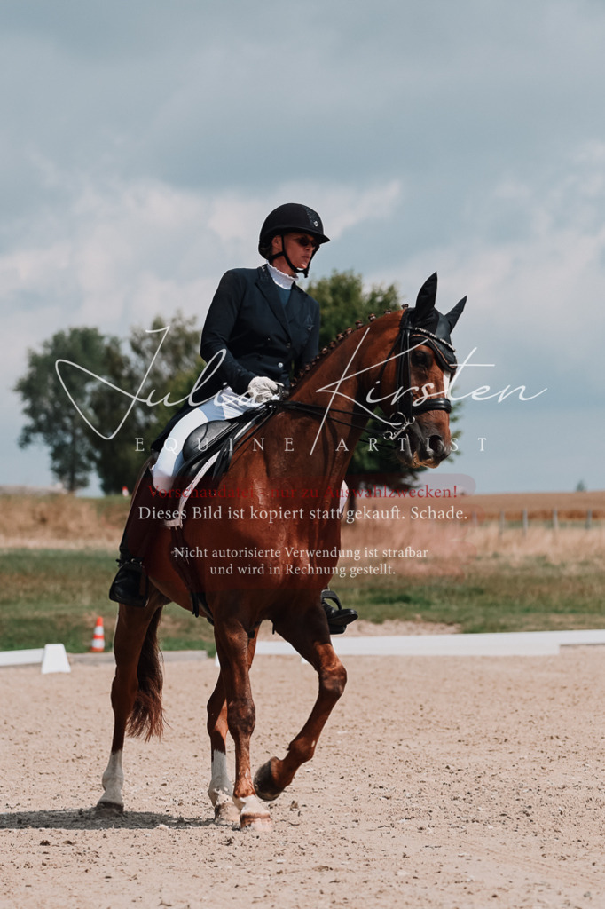 DSC_3813 | Pferde- und Turnierfotografie in Westsachsen. Pferdeportraits, Auftragszeichnungen und intuitive Kunst.