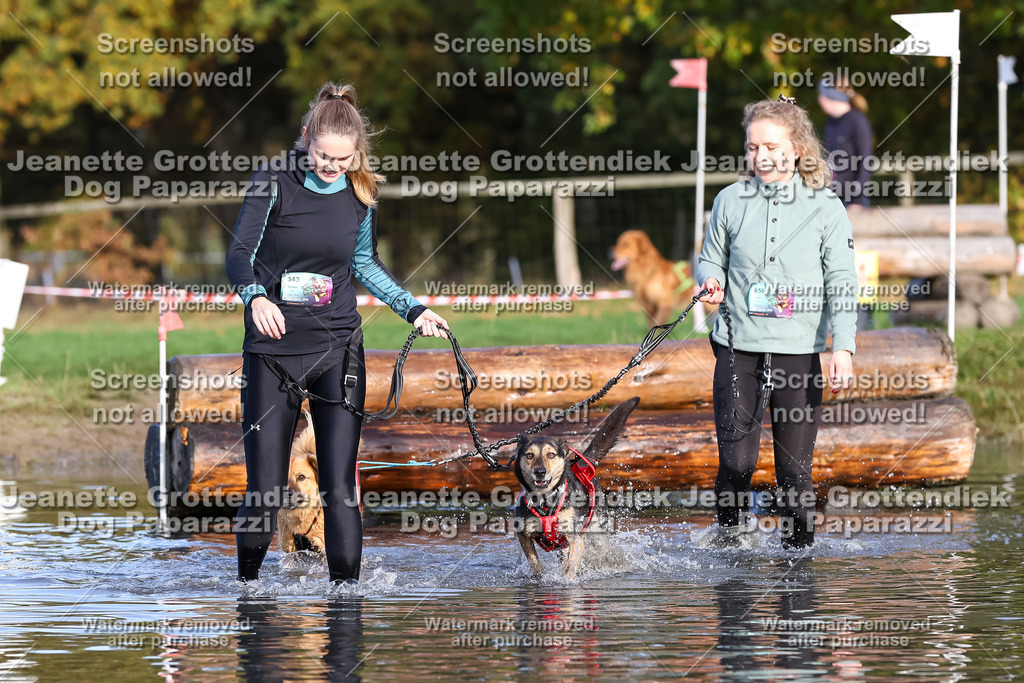Dog Paparazzi - Strongdog 10-25-8379 | Dog Paparazzi Jeanette Grottendiek Fotografie & Videografie - Realisiert mit Pictrs.com
