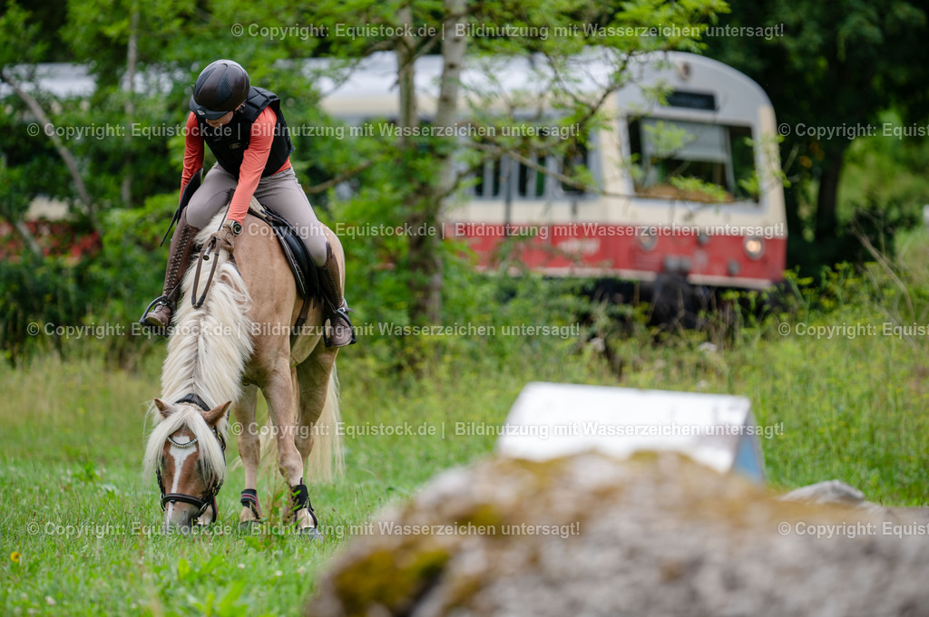 20250725_Vielseitigkeitslehrgang-Marbach_0309 | Foto: Thomas Hartig