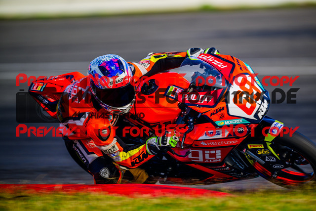 MaZZes_Fotomatrix_20240922_6007705_9907 | SSP300