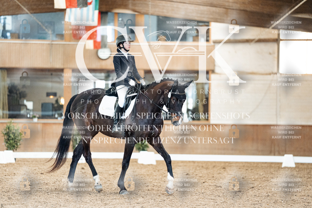 CK909830 | Turnierfotografie Pferdefotografie Trier Rheinland-Pfalz Pferdesport Reitsport Tierfotografie Sportfotografie Pferdevideo Pferdevideografie Equestrianvideography equestrianphotography  - Realisiert mit Pictrs.com