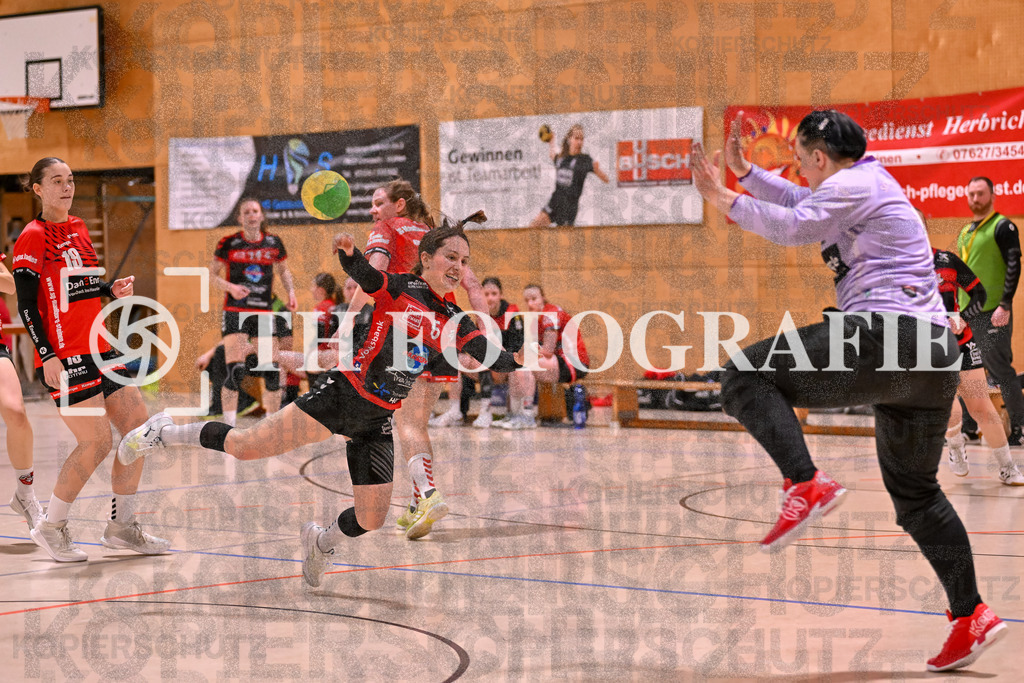 GER, SG Maulburg/Steinen - SG Muggensturm/Kuppenheim, Handball, Suedbadenliga, 17. Spieltag, Saison 2023/2024, 09.03.2024 | Anna Klein (SG Muggensturm/Kuppenheim, #06) wirft den Ball Richtung Stefanie Kovacic (SG Maulburg/Steinen, #01)

GER, SG Maulburg/Steinen - SG Muggensturm/Kuppenheim, Handball, Suedbadenliga, 17. Spieltag, Saison 2023/2024, 09.03.2024

Foto: TH Fotografie/Thomas Hess