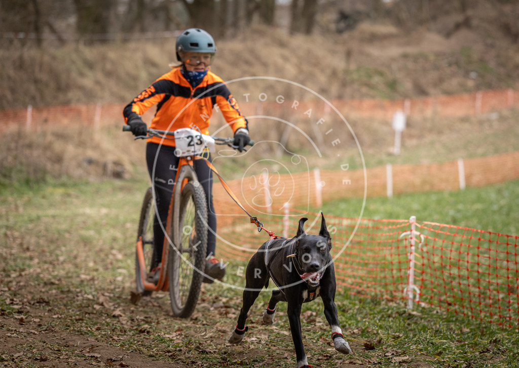 Pfotenfotografie_DV3A7277 | Hundefotografie, Tierfotograf, Pfotenfotografie, Fotoshooting Hund, Hunde Portrait, Hundesport, Hundeportraits, Heideshooting, Hunde, Sportfotograf, Hundefotograf, Turnierhundsport, THS,  - Realisiert mit Pictrs.com