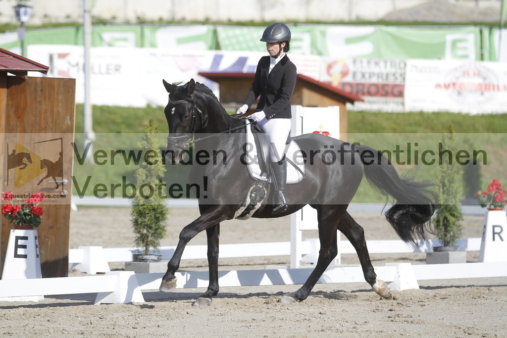 _MG_9151 | equestrian-live-com