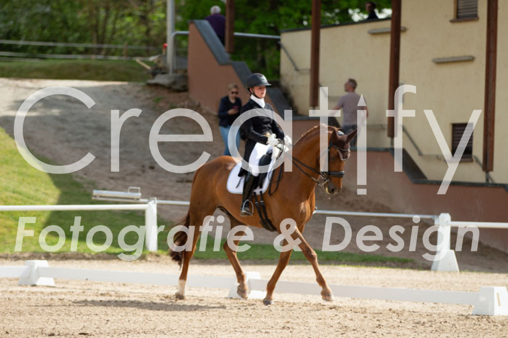IMG_7352 | Creatify Fotografie