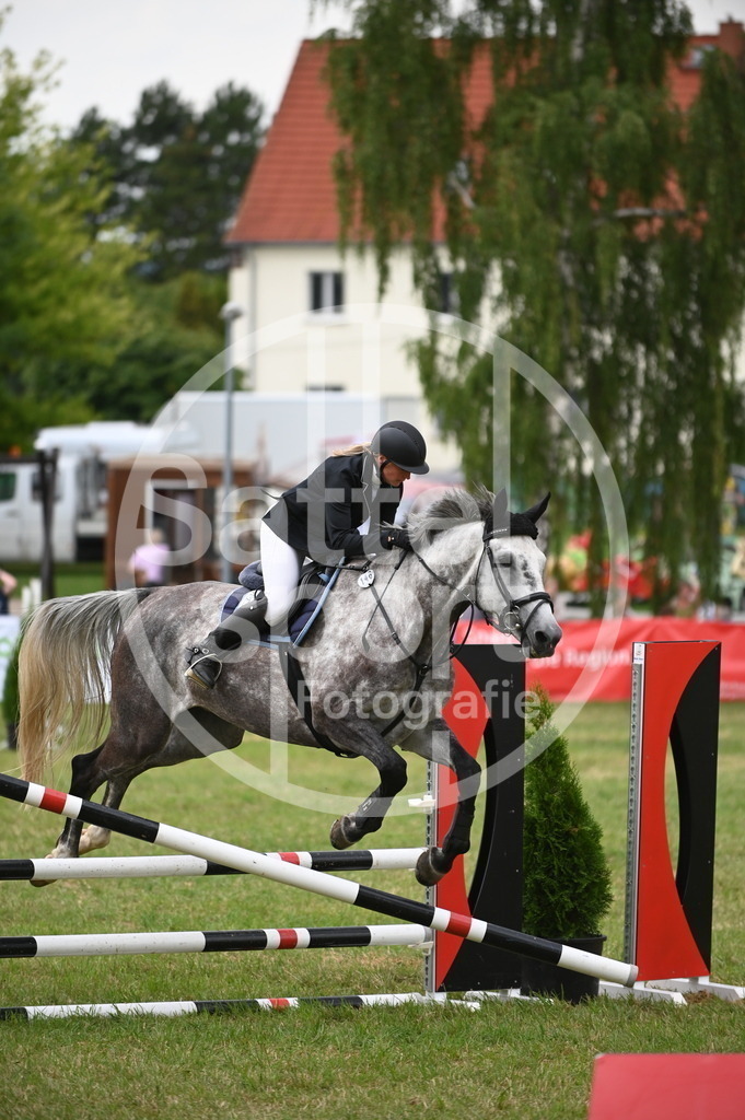 DSC_2331 | sattelsport - Realisiert mit Pictrs.com