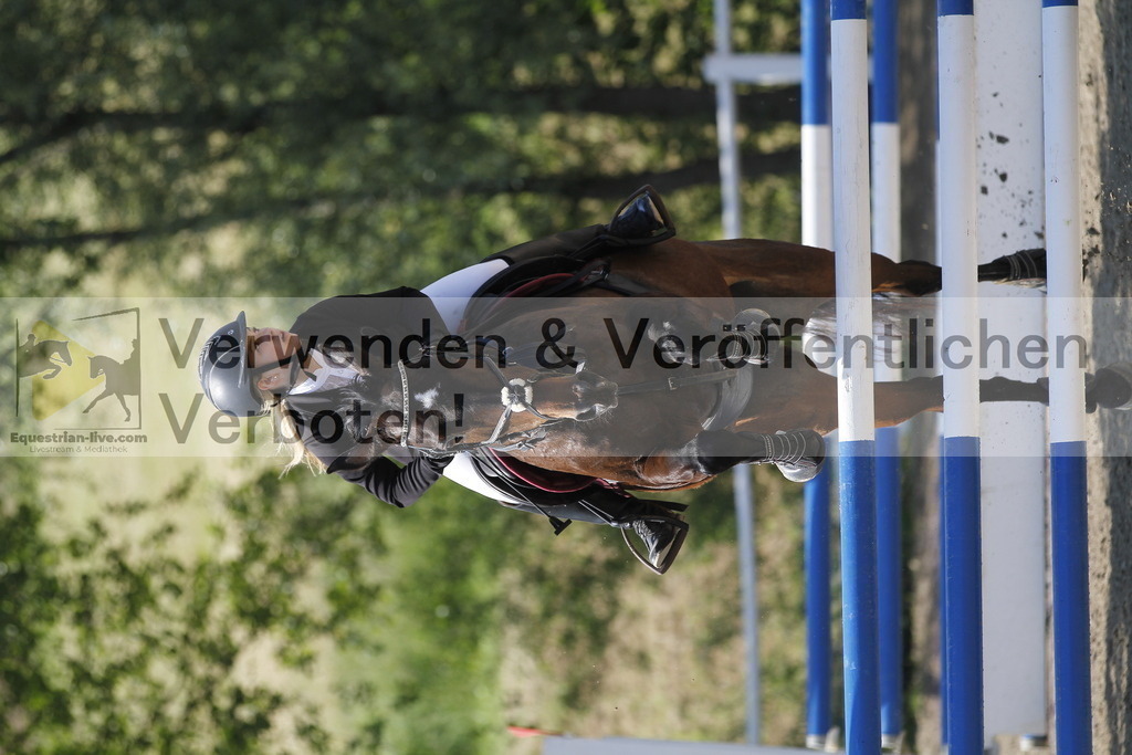 _MG_1685 | equestrian-live-com