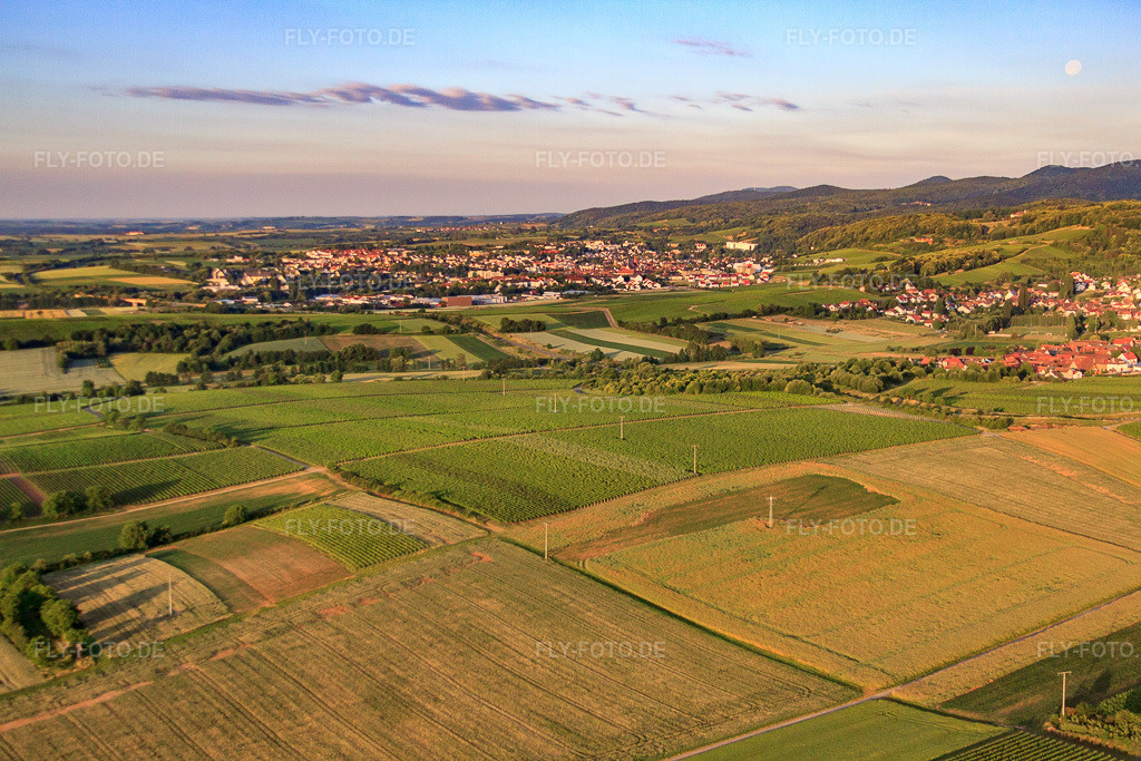 Luftbild: Felder am Morgen vor dem Dorf im Ortsteil Oberhofen in Pleisweiler-Oberhofen im Bundesland Rheinland-Pfalz in Deutschland.Foto: IMG_67835.jpg vom 14.06.2014 durch Werner Riehm/FLY-FOTO.deAuflösung des Originals: 4752 x 3168 px