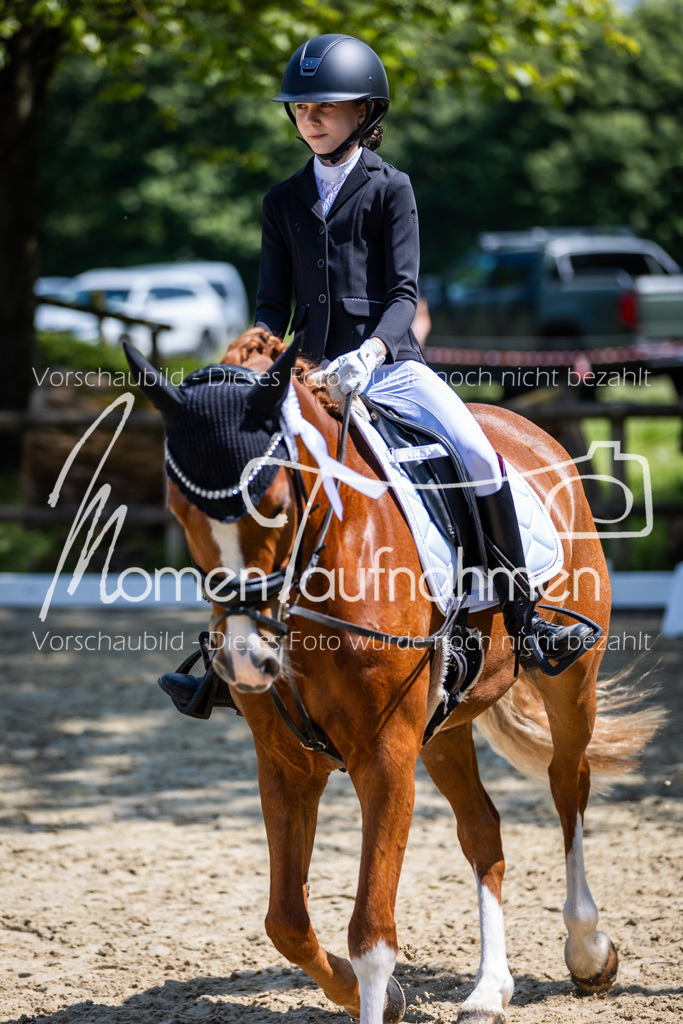 Donop24-RWB-071 | MomenTaufnahmen Pferdesportfotos