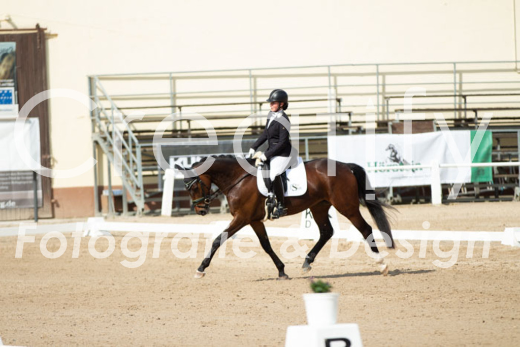 IMG_1169 | Creatify Fotografie