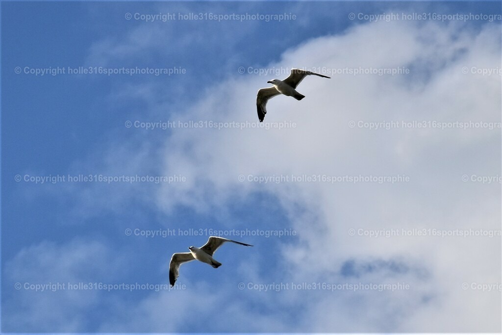 DSC_0090 (2) | Sportfotografie , Motorsport, Motoross, Reitsport, Mointainbike, Enduro,
Landschaft , Outdoor, Eventfotografie, Landschaft, Bilder online bestellen - Realisiert mit Pictrs.com