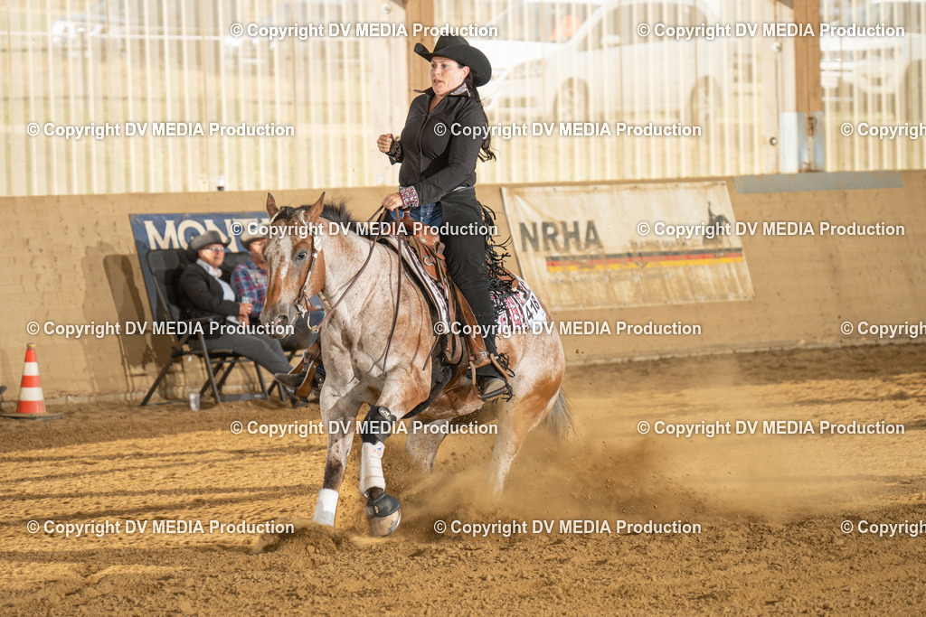 LAU01869 | dv-media-shop - Realisiert mit Pictrs.com