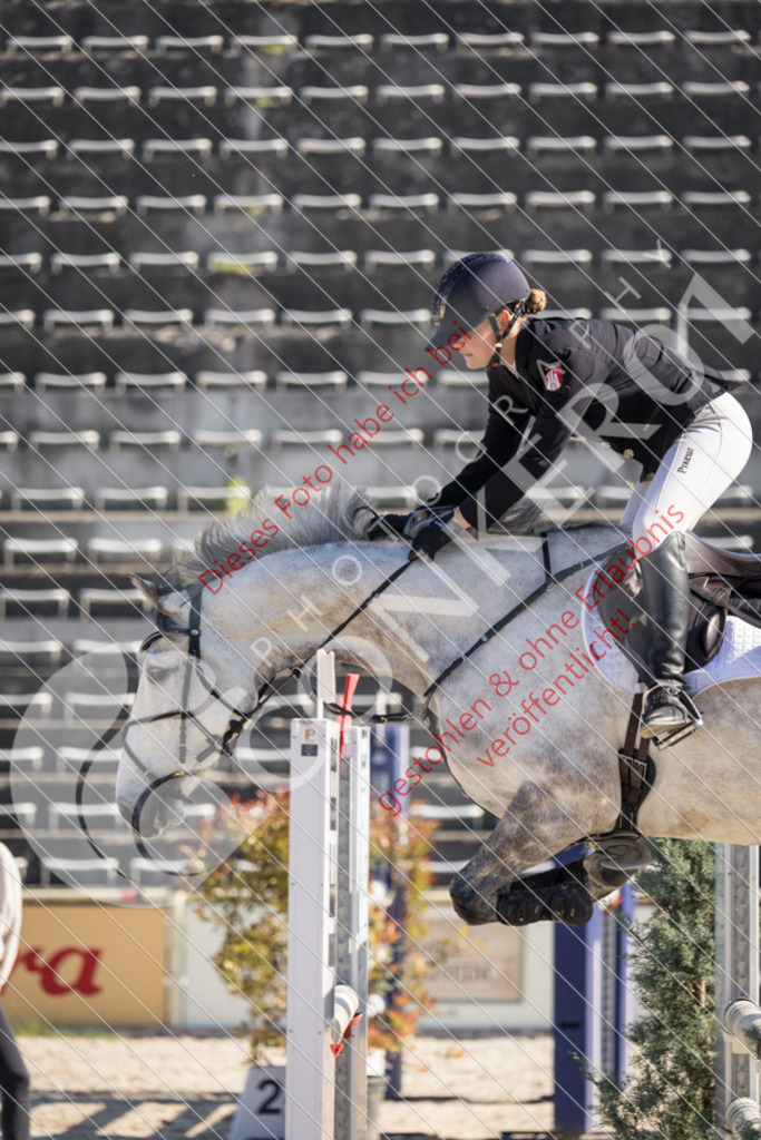 IMG_2971 | Sport-, Event- und Tierfotos in Profiqualität. Einfach auswählen, bestellen und herunterladen. Dein Moment – perfekt festgehalten.
