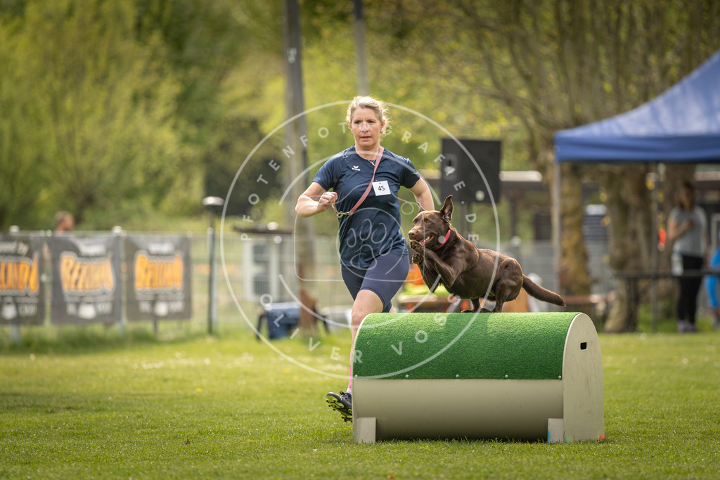 Pfotenfotografie_DV3A6692 | Hundefotografie, Tierfotograf, Pfotenfotografie, Fotoshooting Hund, Hunde Portrait, Hundesport, Hundeportraits, Heideshooting, Hunde, Sportfotograf, Hundefotograf, Turnierhundsport, THS,  - Realisiert mit Pictrs.com