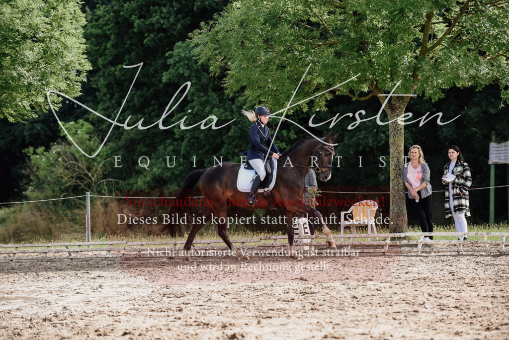 DSC_0120 | Pferde- und Turnierfotografie in Westsachsen. Pferdeportraits, Auftragszeichnungen und intuitive Kunst.