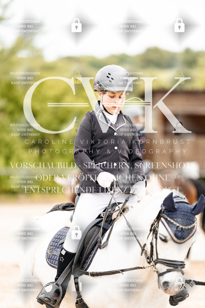 CK903643 | Turnierfotografie Pferdefotografie Trier Rheinland-Pfalz Pferdesport Reitsport Tierfotografie Sportfotografie Pferdevideo Pferdevideografie Equestrianvideography equestrianphotography  - Realisiert mit Pictrs.com