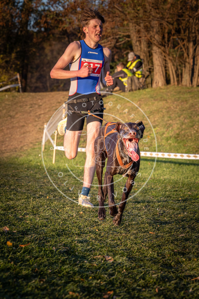 CaniXpix_0L8A1525 | Hundefotografie, Tierfotograf, Pfotenfotografie, Fotoshooting Hund, Hunde Portrait, Hundesport, Hundeportraits, Heideshooting, Hunde, Sportfotograf, Hundefotograf, Turnierhundsport, THS,  - Realisiert mit Pictrs.com