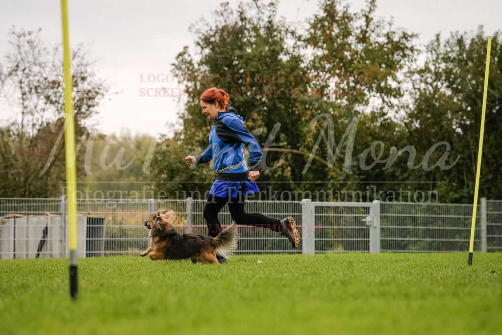 20251005_THS_Turnier-465 | MuT (Mensch und Tier) mit Mona - Fotografie und Tierkommunikation - Realisiert mit Pictrs.com