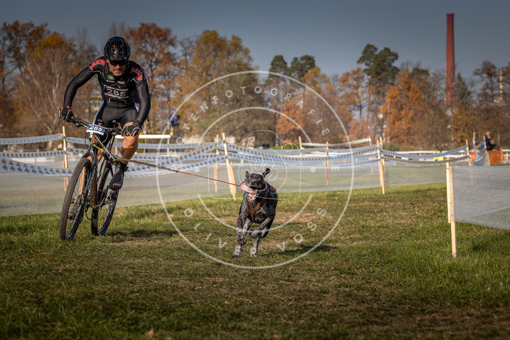 CaniXpix_0L8A7293 | Hundefotografie, Tierfotograf, Pfotenfotografie, Fotoshooting Hund, Hunde Portrait, Hundesport, Hundeportraits, Heideshooting, Hunde, Sportfotograf, Hundefotograf, Turnierhundsport, THS,  - Realisiert mit Pictrs.com