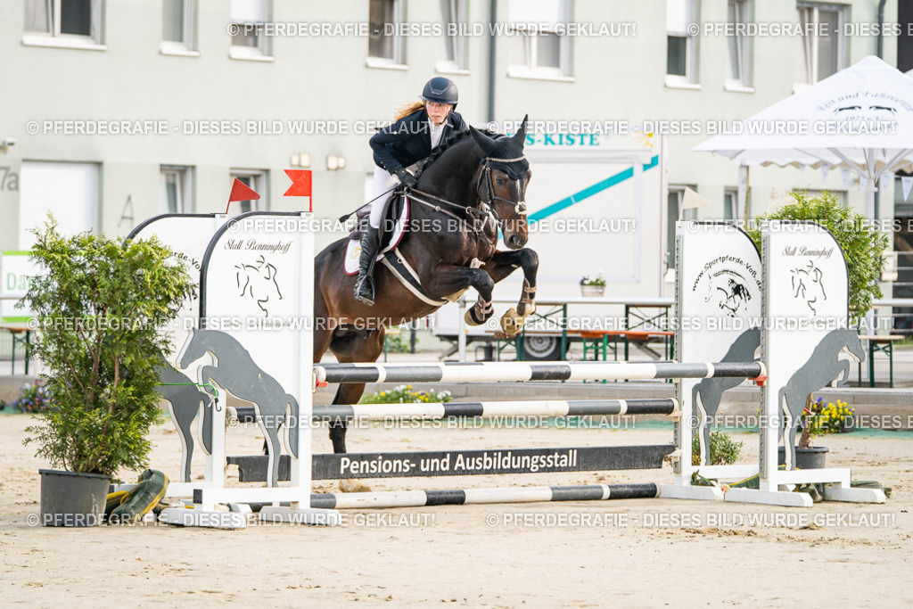 DSC07746 | Pferdegrafie