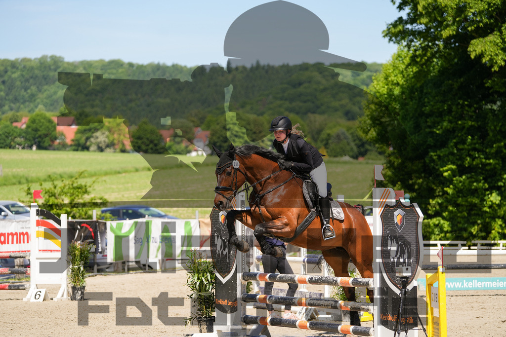 DSC02256 | Julian Held Fotografie - Realisiert mit Pictrs.com