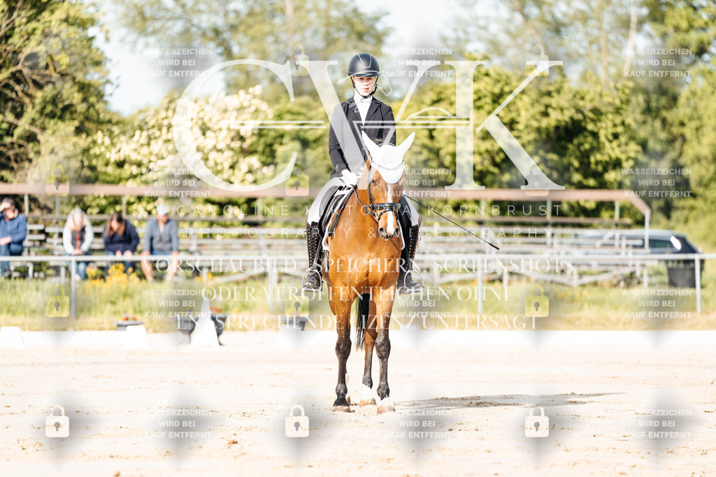 CK909992 | Turnierfotografie Pferdefotografie Trier Rheinland-Pfalz Pferdesport Reitsport Tierfotografie Sportfotografie Pferdevideo Pferdevideografie Equestrianvideography equestrianphotography  - Realisiert mit Pictrs.com