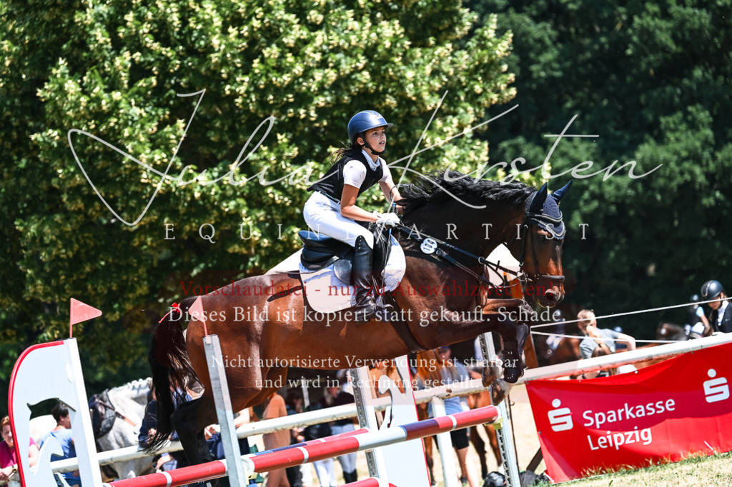DSC_0522 | Pferde- und Turnierfotografie in Westsachsen. Pferdeportraits, Auftragszeichnungen und intuitive Kunst.