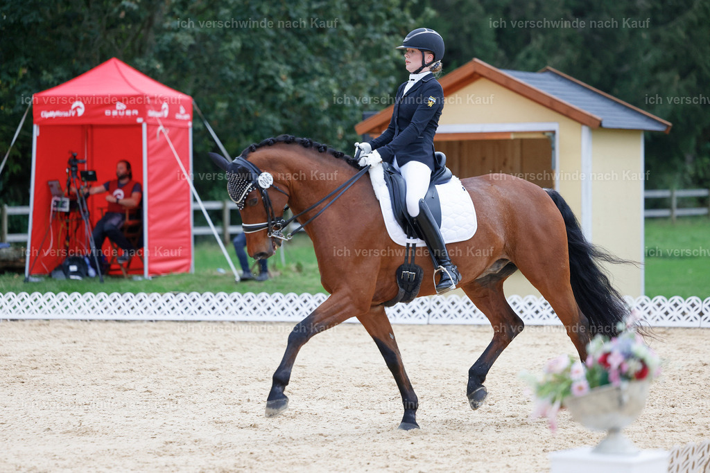 04_2-006-Dressur M__ -StoibPH-2976 | working equitationturnier fotograf videograf stoibphotography marixx film working equitation deutschland reitsport turnierfotografie eventfotografie equestrian events