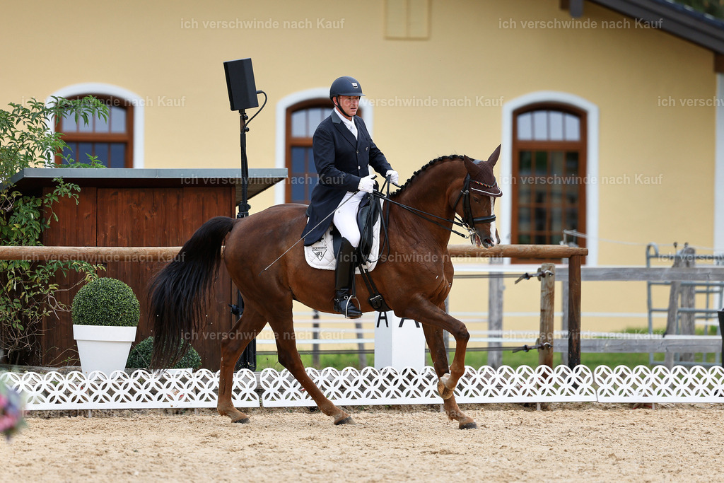 11-092-Dressur S___-StoibPH-1308 | working equitationturnier fotograf videograf stoibphotography marixx film working equitation deutschland reitsport turnierfotografie eventfotografie equestrian events
