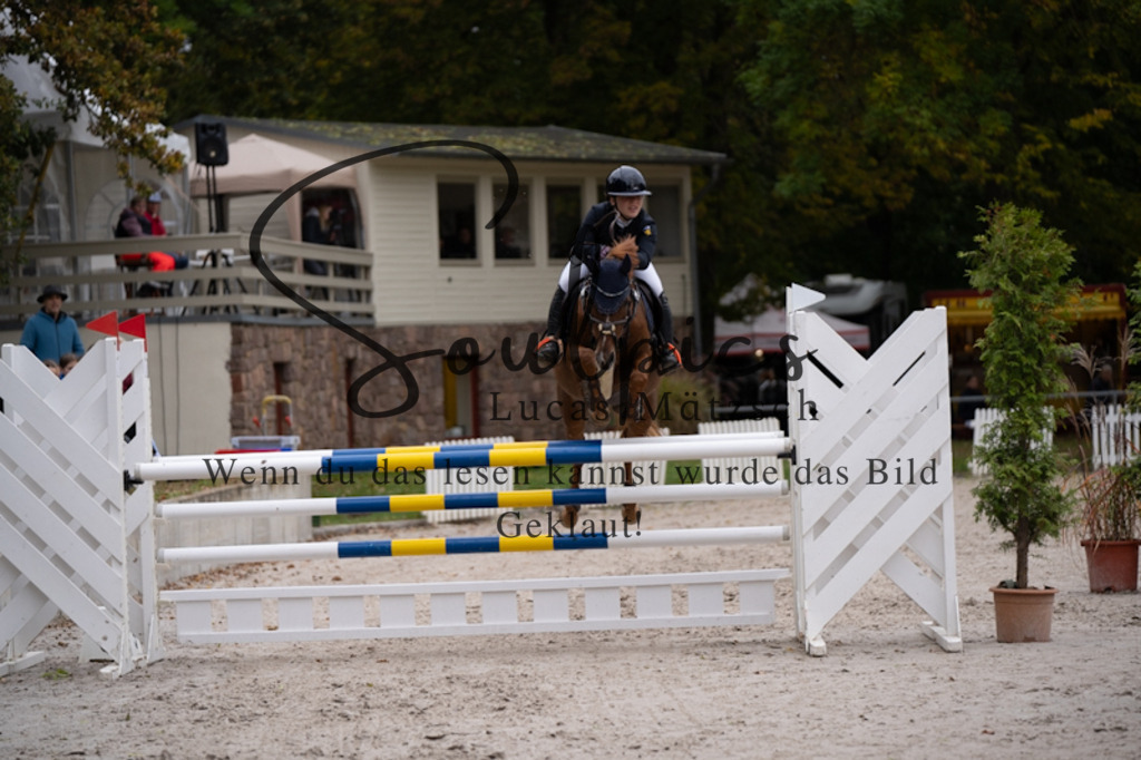 A7V09139 | Pferdefotograf