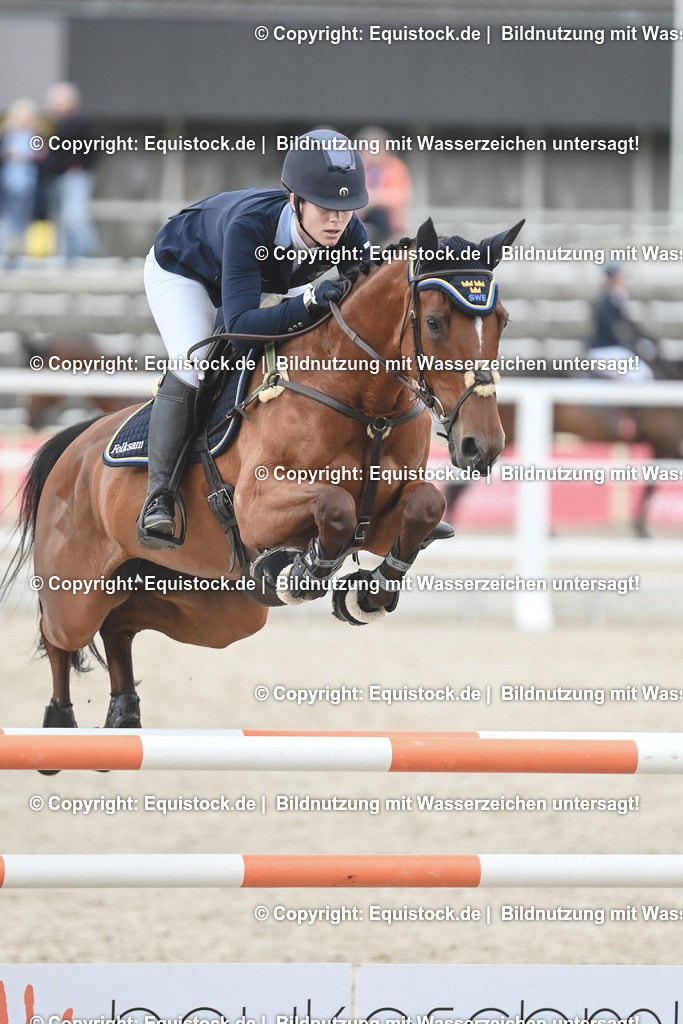 20230514_CCI4_Springen_0236 | equistock