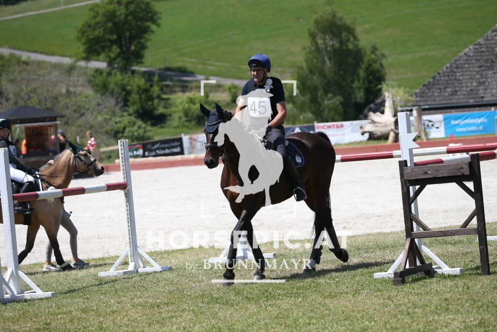 DL2Q0714 | Willkommen bei Brunnmayr - Design & Fotografie – Ihrem Spezialisten für Reitturniere und Pferdeveranstaltungen in Oberösterreich, Salzburg und Bayern! Seit über 17 Jahren sind wir leidenschaftlich dabei.