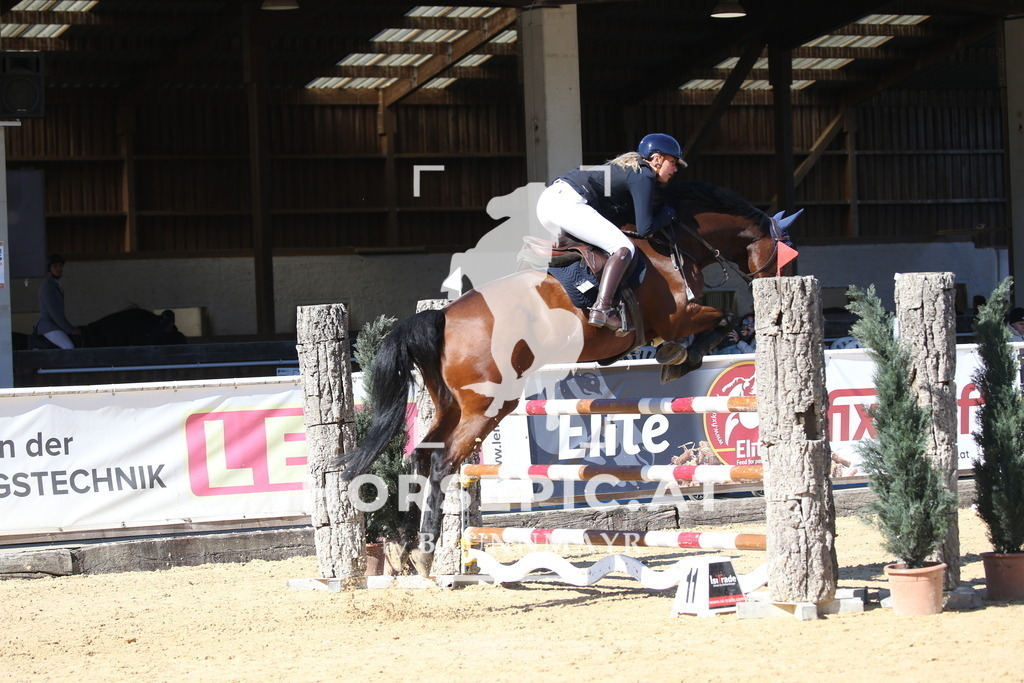 DL2Q2774 | Willkommen bei Brunnmayr - Design & Fotografie – Ihrem Spezialisten für Reitturniere und Pferdeveranstaltungen in Oberösterreich, Salzburg und Bayern! Seit über 17 Jahren sind wir leidenschaftlich dabei.