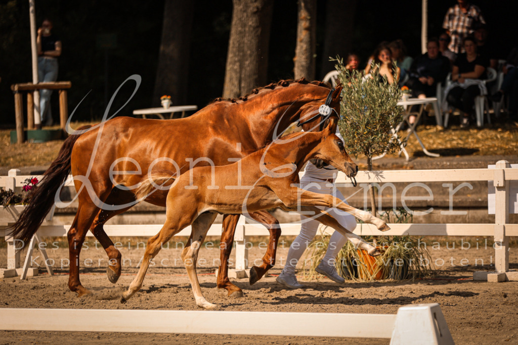 09.DoWBD00083 | Leoni Ertmer Photography - Realisiert mit Pictrs.com