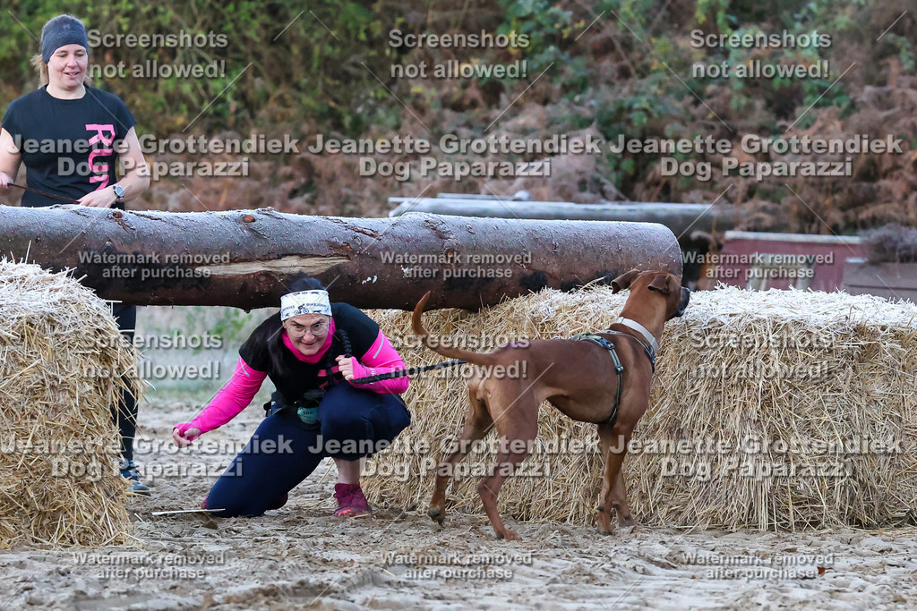 Dog Paparazzi - Strongdog 10-25-39 | Dog Paparazzi Jeanette Grottendiek Fotografie & Videografie - Realisiert mit Pictrs.com