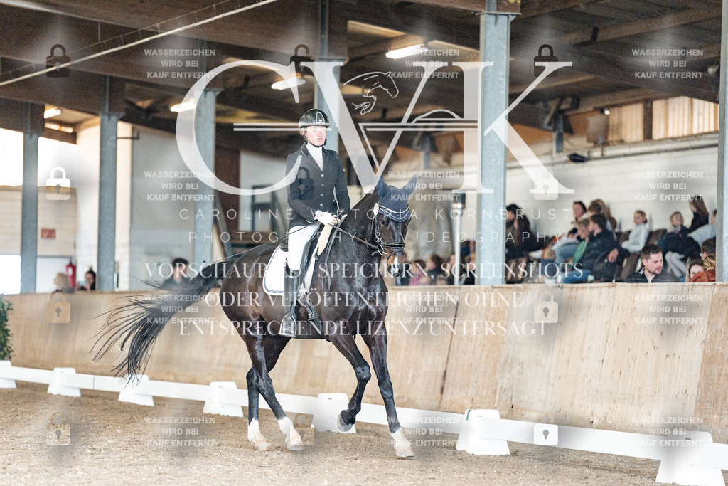CK901867 | Turnierfotografie Pferdefotografie Trier Rheinland-Pfalz Pferdesport Reitsport Tierfotografie Sportfotografie Pferdevideo Pferdevideografie Equestrianvideography equestrianphotography  - Realisiert mit Pictrs.com