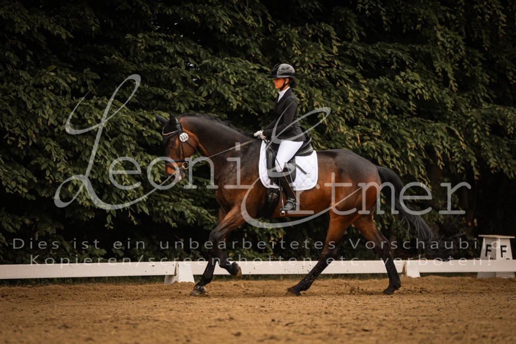 DoDrE00164 | Leoni Ertmer Photography - Realisiert mit Pictrs.com