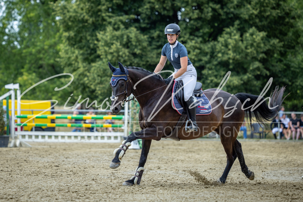 20260704-_3LI1731 | Tierfotografie Pferde, Hunde, Katzen, Haustiere.
Turnierfotografie Reitturniere, Reiten, Springreiten, Dressur in Hanau, dem Main-Kinzig-Kreis und dem Rhein-Main- Gebiet um Frankfurt